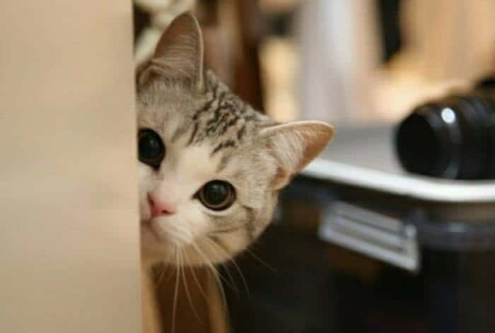 ��D
